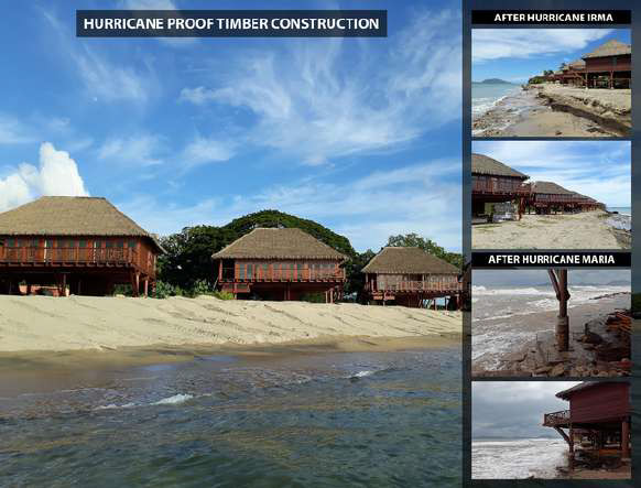 ANTICYCLONIC-TIMBER-2 ANTICYCLONIC-TIMBER-2